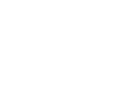 ee88ap