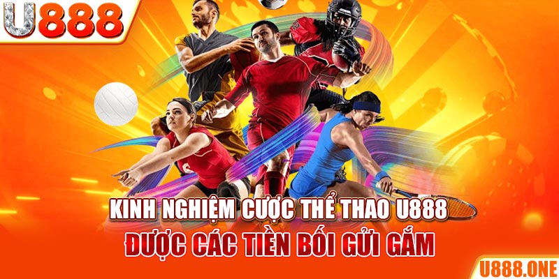 ee88ap gà chọi c1 gold city