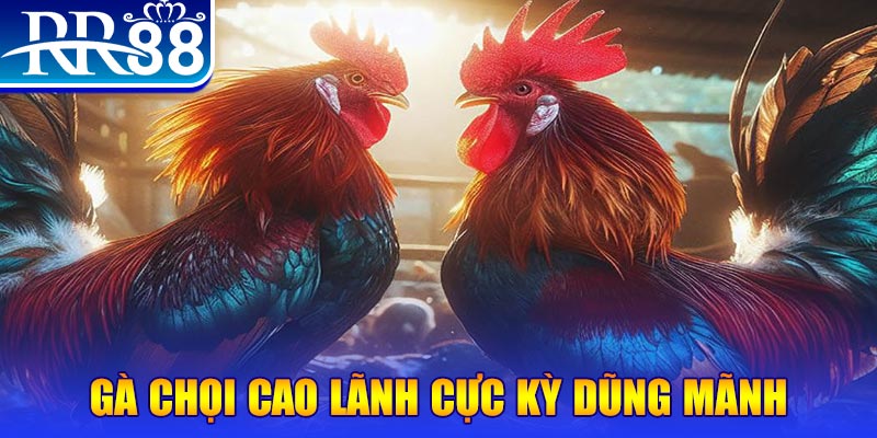ee88ap tt88 bắn cá